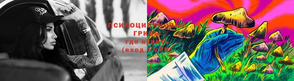 стафф Алексин