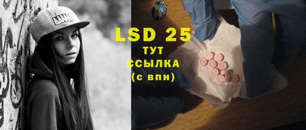ПСИЛОЦИБИНОВЫЕ ГРИБЫ Алексеевка