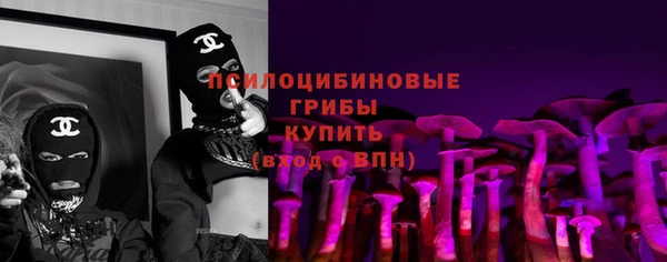 стафф Алексин