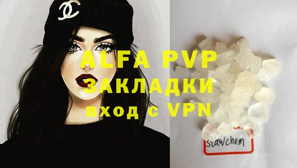 стафф Алексин